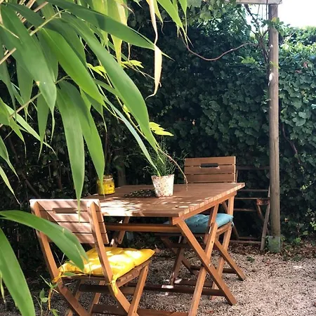 Acanthes & Provence
