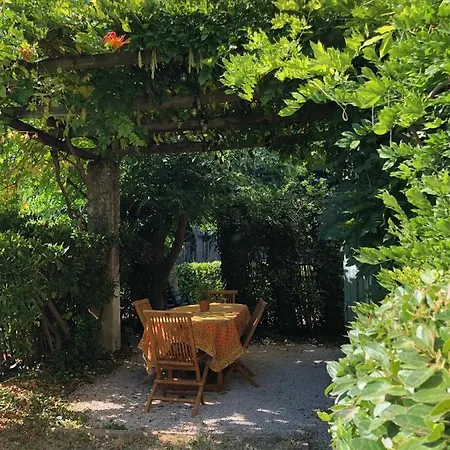 Acanthes & Provence